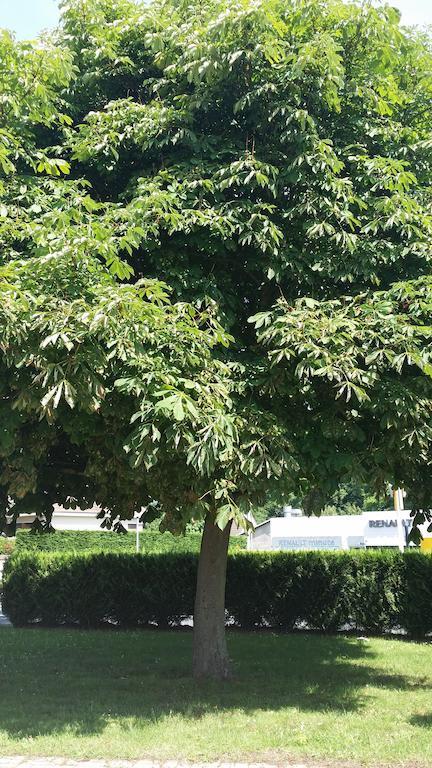 Budget Hotel Melun Sud - Dammarie Les Lys Bagian luar foto